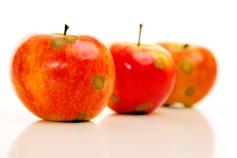 Hautarztpraxis Dr. Kathrin Laaff, Doctor-medic Stefan-Petru Ciuloi, Fachärzte für Dermatologie, Allergologie